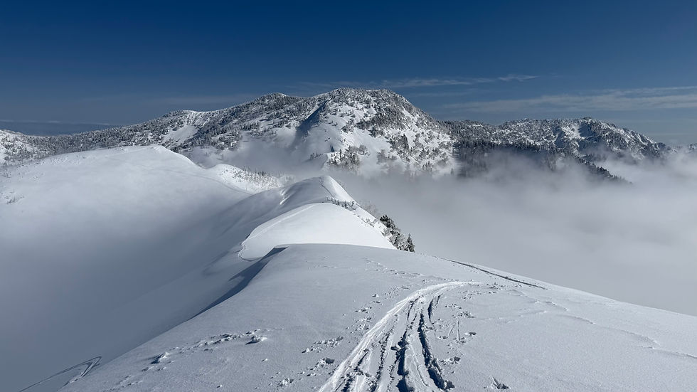 かぐらBCツーリング〜かぐらオートルート
