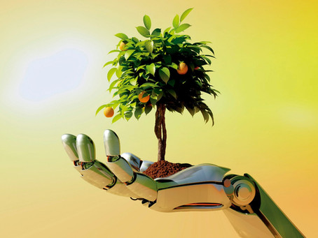 A floresta do futuro