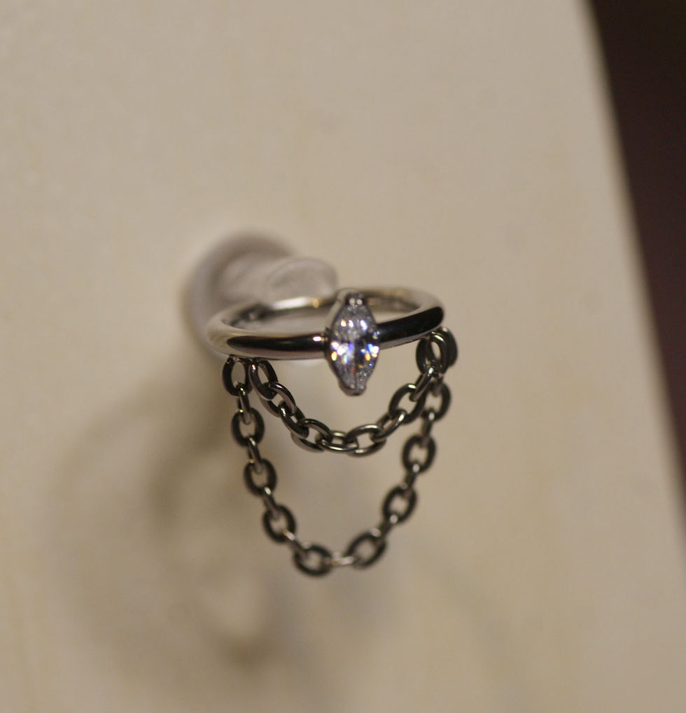 Hinged chain ring