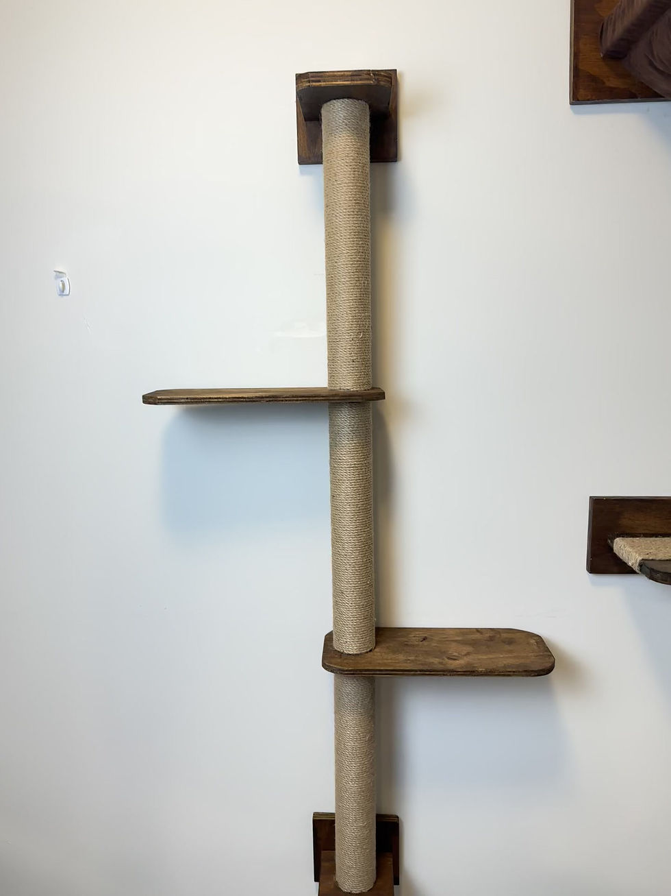 Thumbnail: Cat Hammock