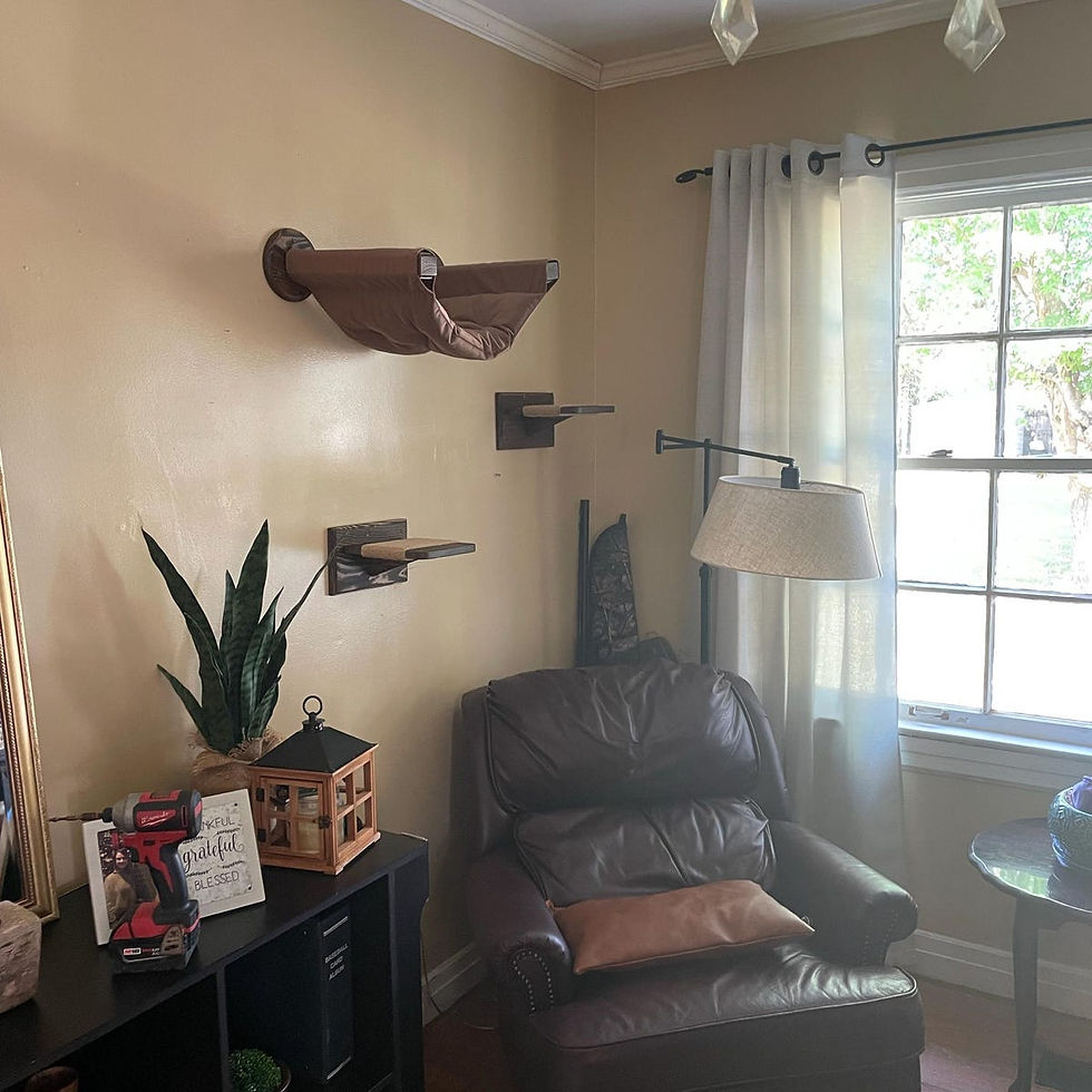 Thumbnail: Cat Hammock