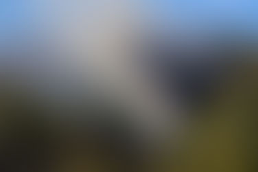 National Bushfire Recovery Fund – Black Summer Grants Program Update