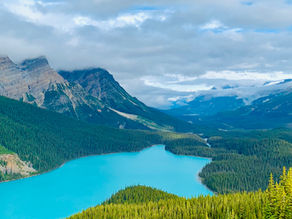            Speciality Dentistry in NZ