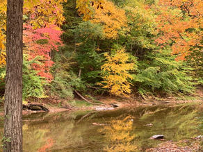 Visa and Jobs in Australia for dentists