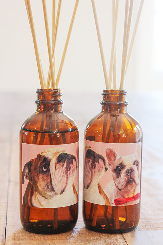 Thumbnail: Bulldogs Diffuser