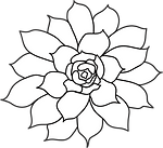 lotus flower sketch