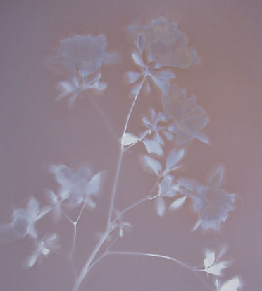 Screenshot 2026-01-09 at 8.45_edited.jpg