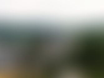 Going Small-Time: Why This Indie Author Does Branding Differently