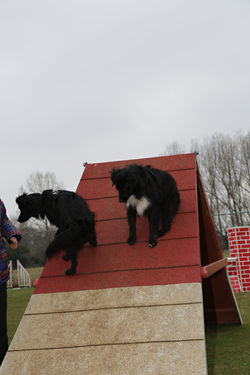 gra_7394143_40113221635_o.jpg