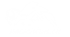 Weisses Logo von notschirm.ch und rettungsschirm.ch