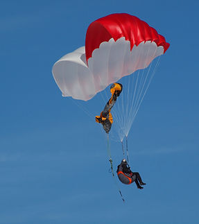 Rogallo.jpeg