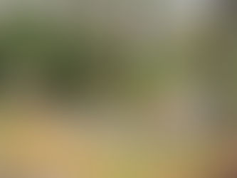 "This Land" -- UUSE Virtual Worship, May 3, 2026
