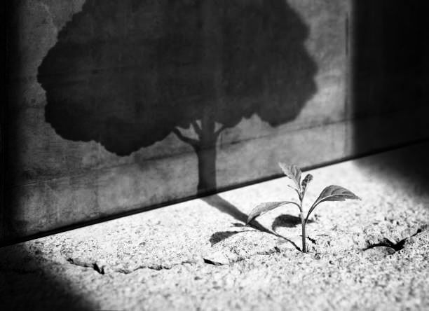 "Reflections & Hopes" -- UUSE Virtual Worship, December 28, 2025