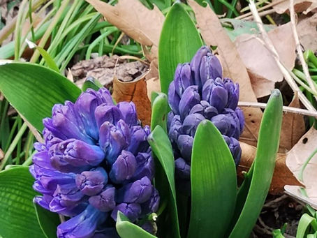 "Let There Be Music!" -- UUSE Virtual Worship, April 5, 2026