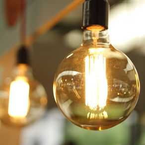 What is the best type of light bulb to help the environment and save you money? 