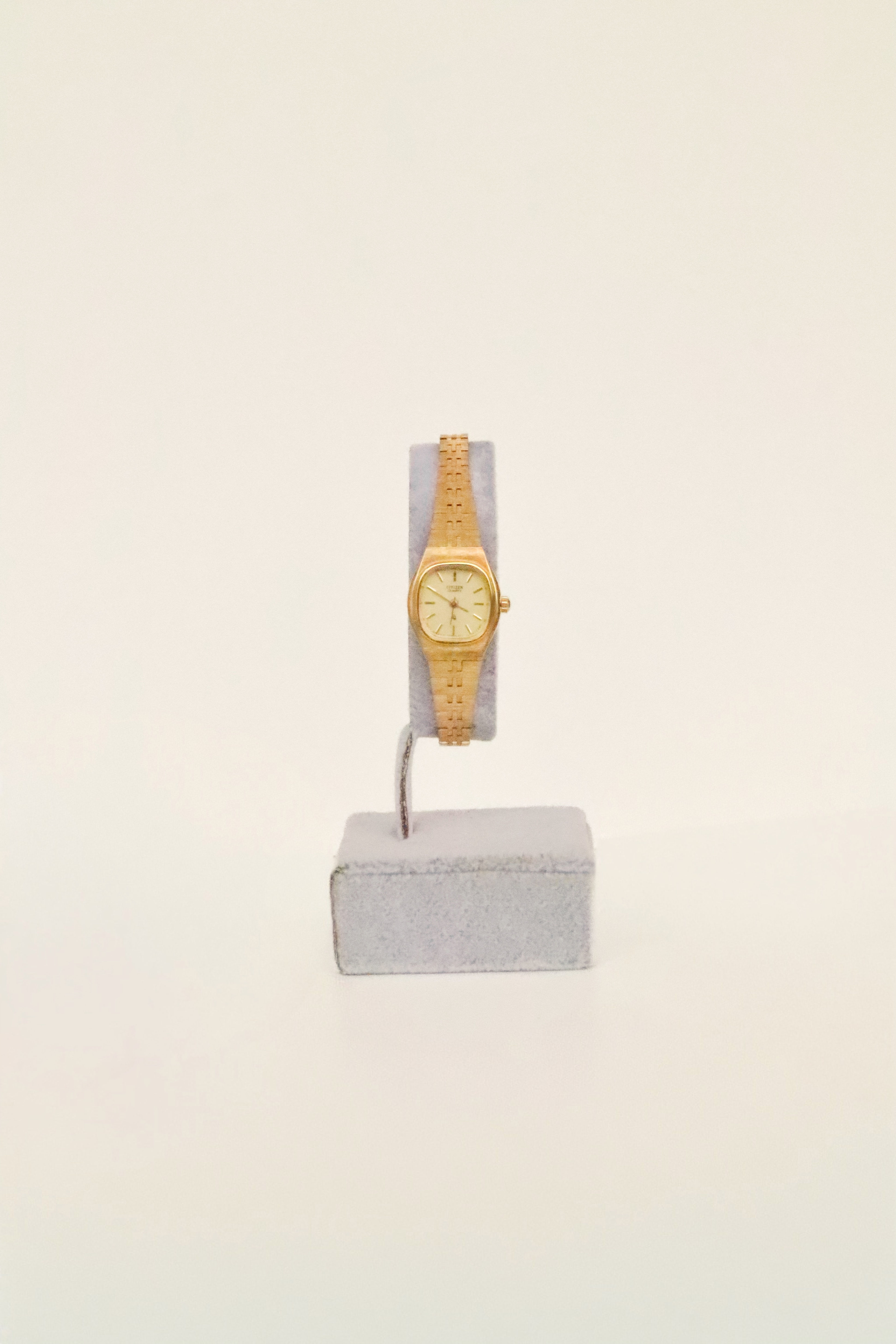 Citizen Vintage Saat