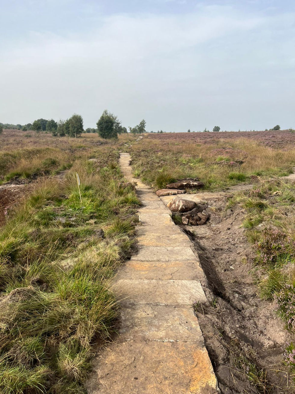 Natural Flood Management - Norland Moor (3)