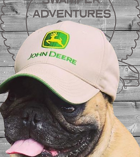 dog wearing a john deere cap
