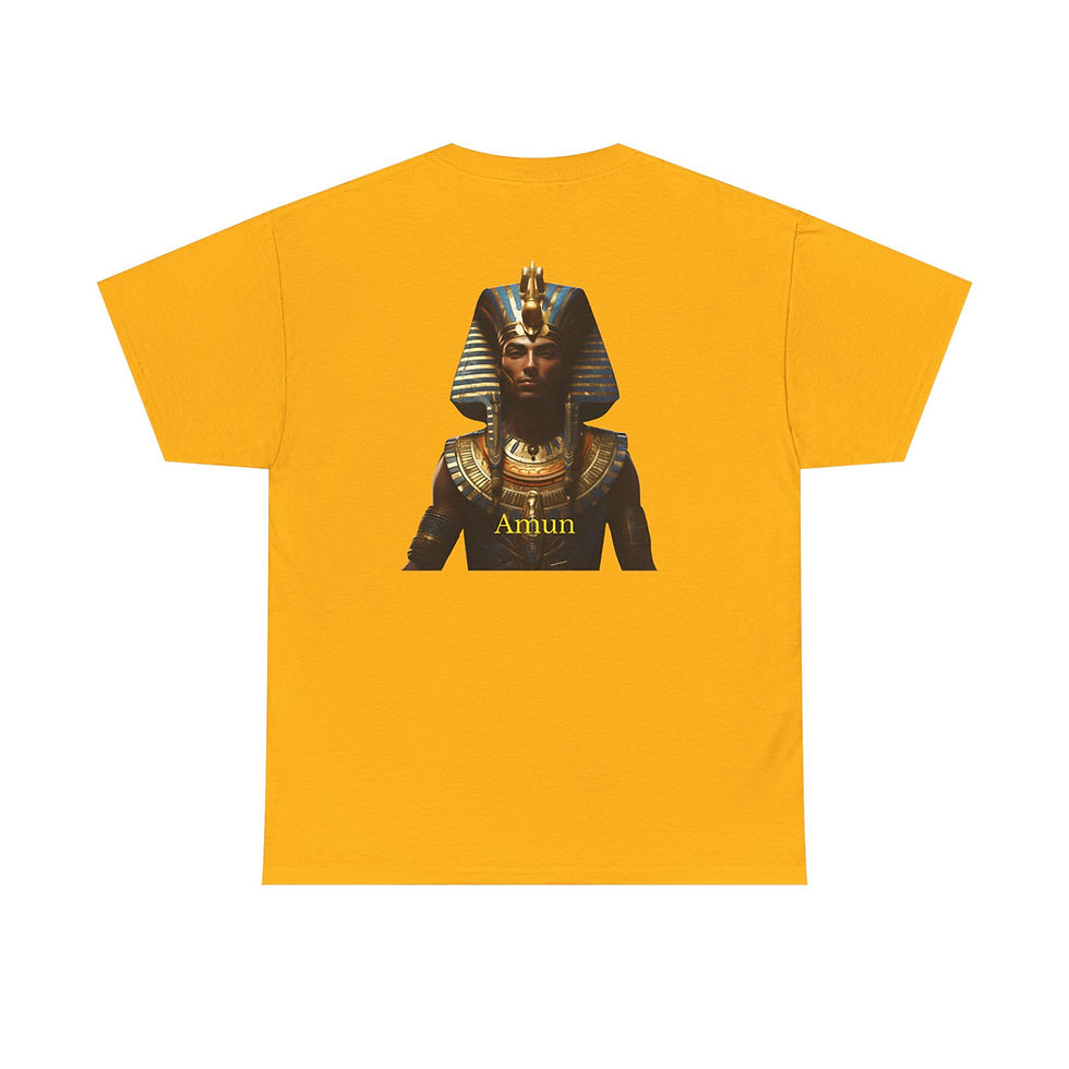 Thumbnail: Divine Threads Amun Design Unisex Heavy Cotton Tee