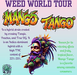 Mango Tango Template NB Lettering_edited