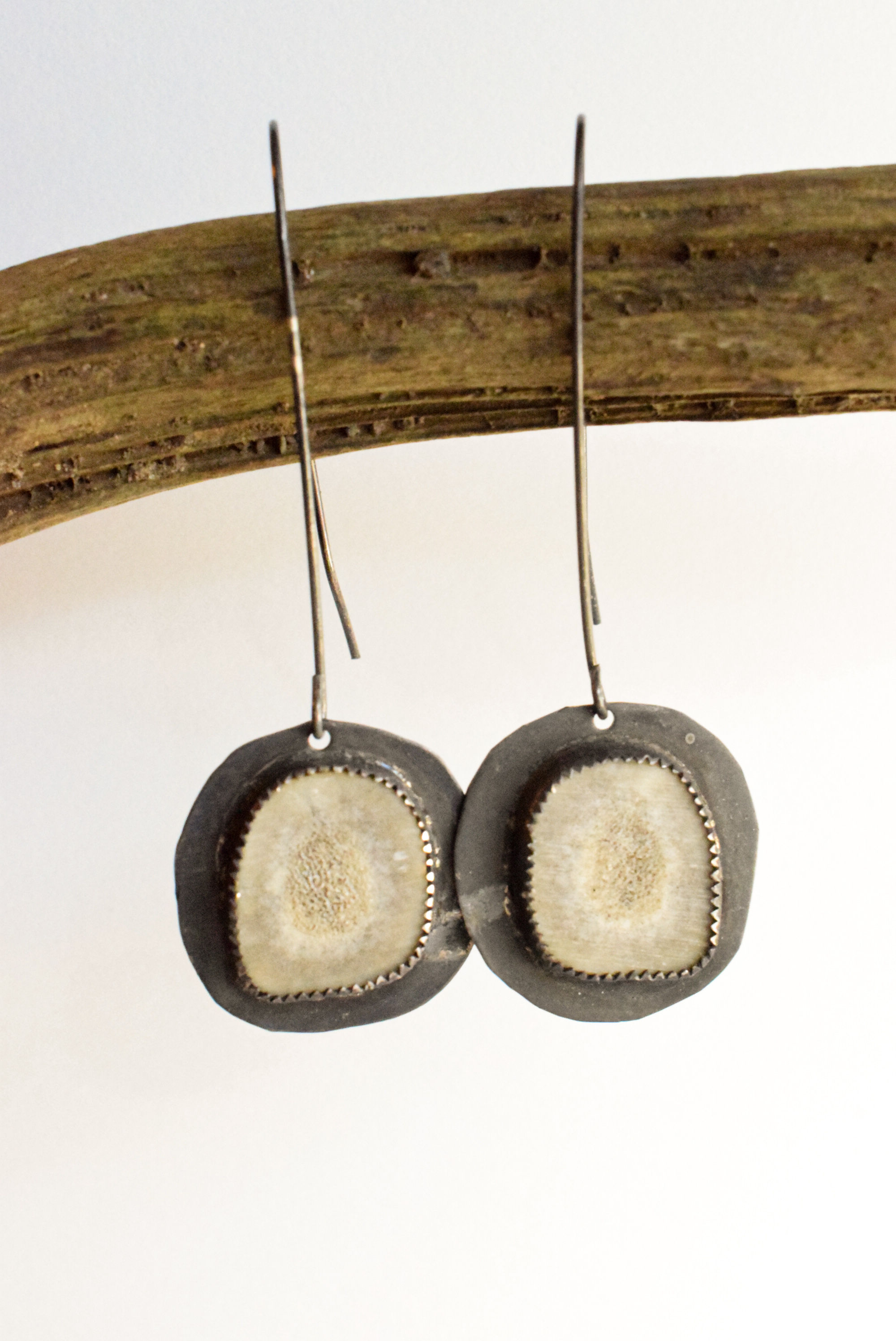 Deer Antler Slice Earrings 