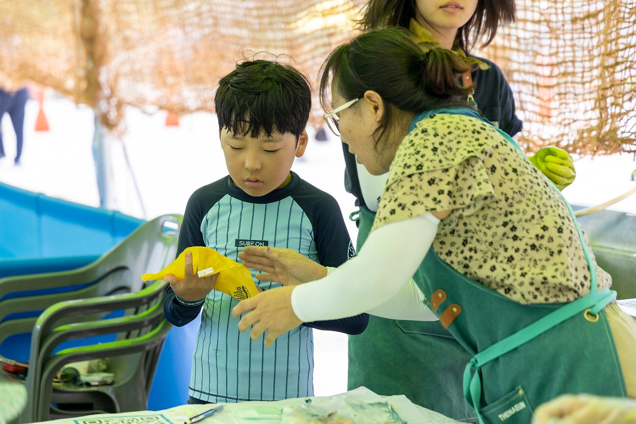 영월동강뗏목축제 영월마을선생님