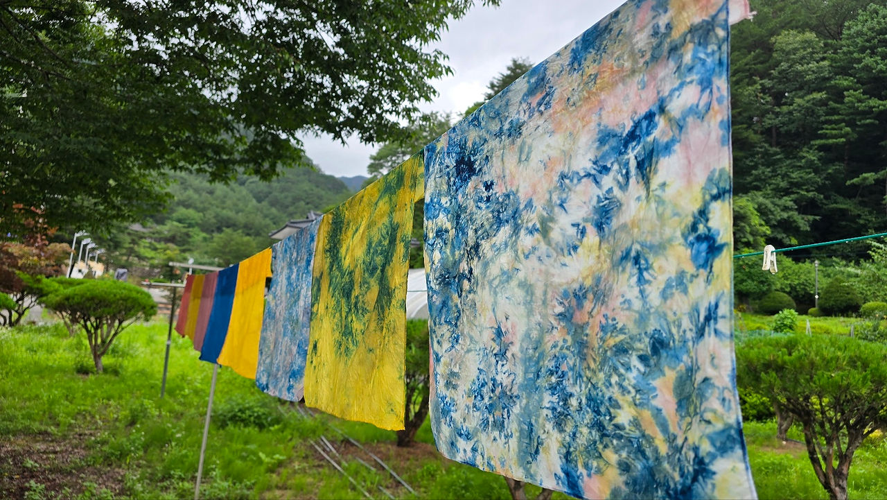 영월동강뗏목축제 영월마을선생님