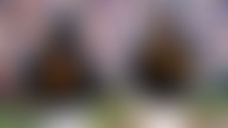 College World Series: Tennessee with Big dub to force game 3