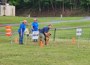 IMG_8188.JPG