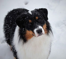 IMG_6012.jpeg
