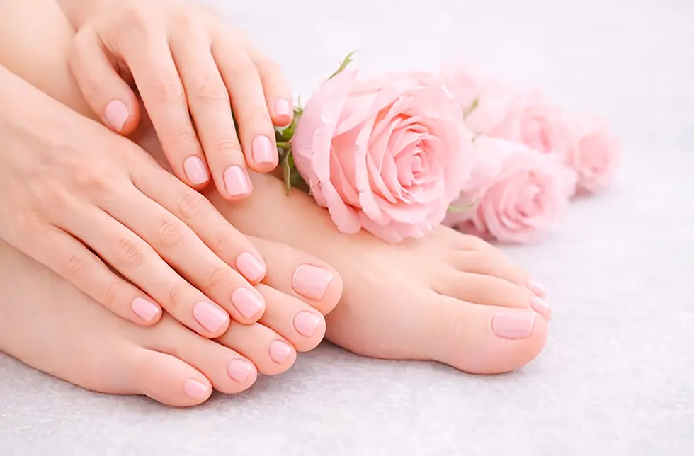 Hand & Fusspflege