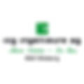ICG Ingenierure