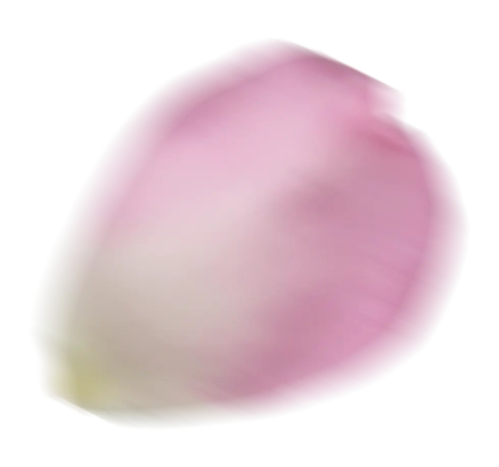 zuckerperle-Haarentfernung-Shaba-Methode-natuerlich-1.webp