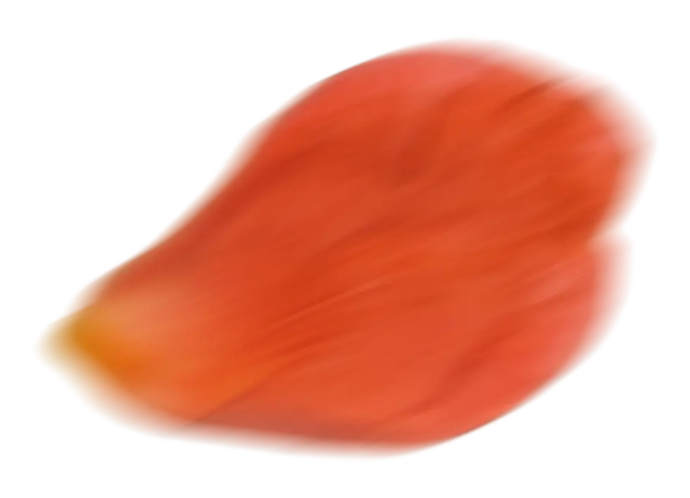 zuckerperle-Haarentfernung-Shaba-Methode-natuerlich-3.webp