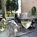 White wine.JPEG