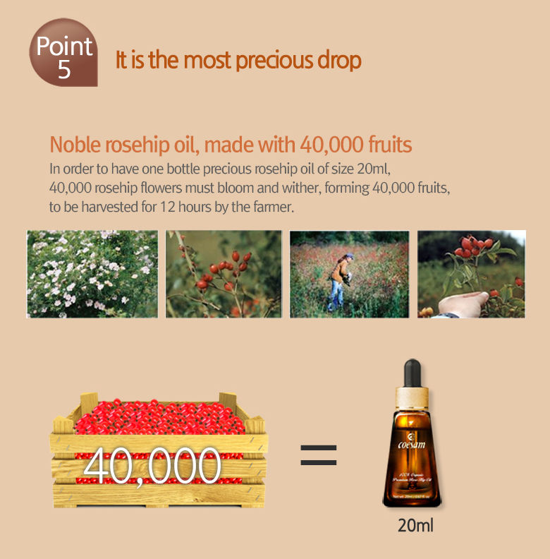 Thumbnail: Coesam Rosaterapia 100% Organic Premium Rosehip Oil