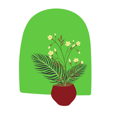 plant-office-maintenance