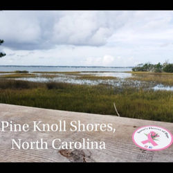 North Carolina Pine Knoll Shores Marsh Sticker 064