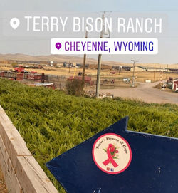 Wyoming Cheyenne Terry Bison Ranch Sticker 059