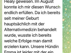 Healy Resonanz Plus Edition inkl. gratis Healy Gold Edition und Massig Support