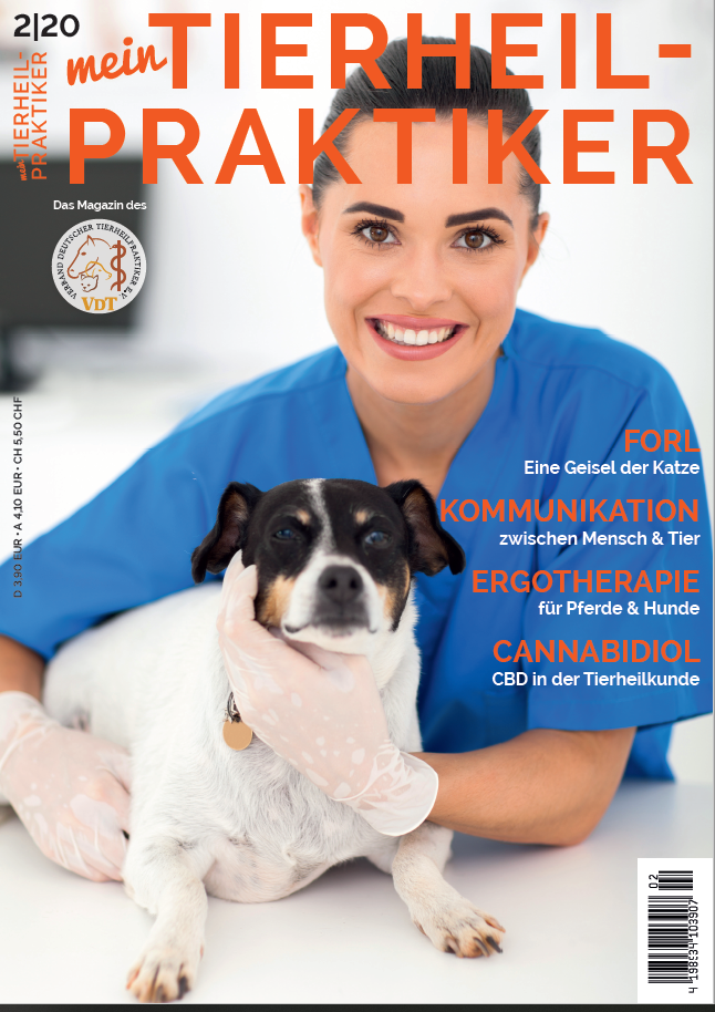 Fallbericht von mir im Magazin der Tierheilpraktiker
