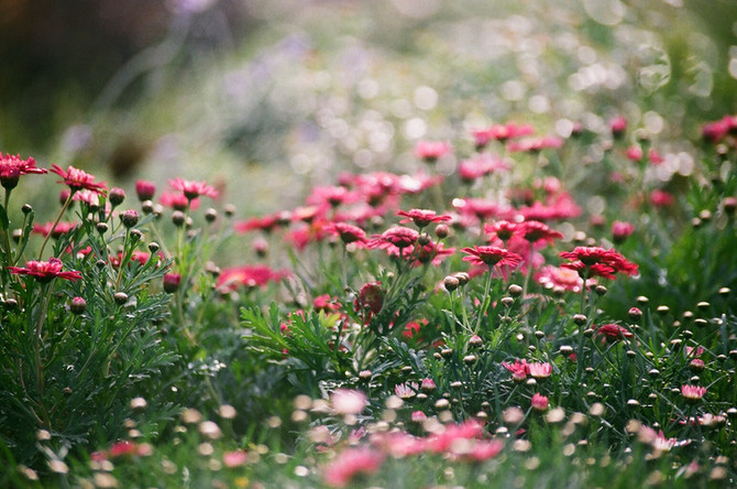 The Rhythms of Nature- Moving into the Spring Semester!