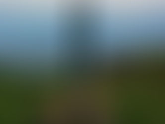 מסע בארצות הקקאו- חלק א- למטעים