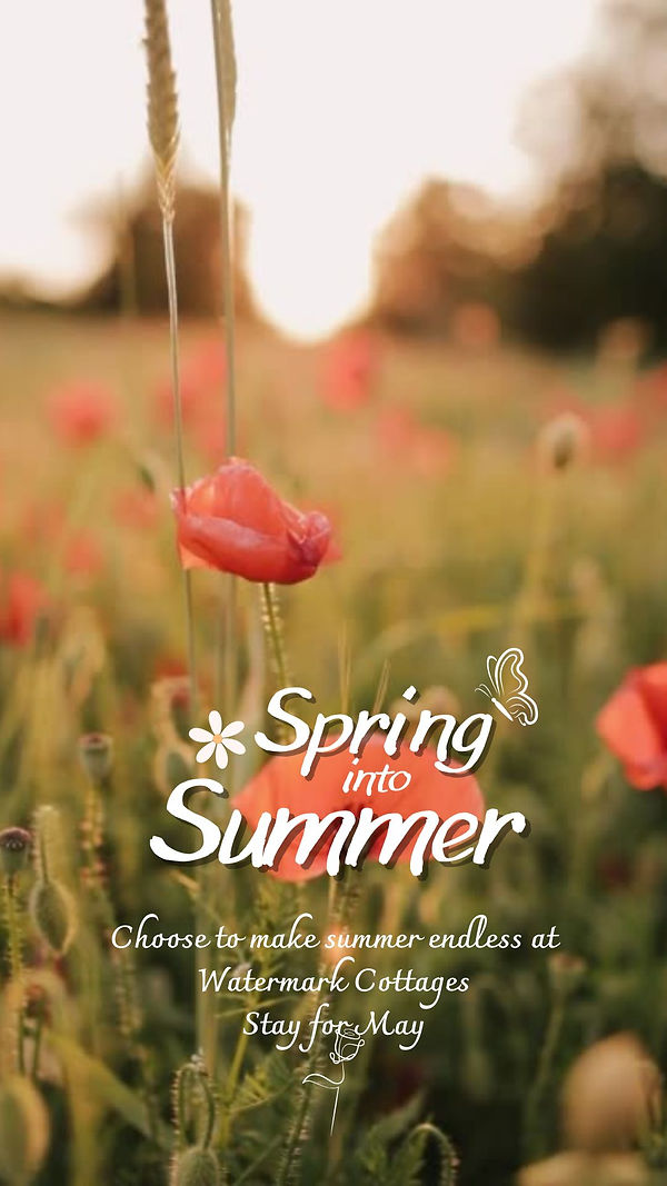 Orange and White Simple Hello Spring Mobile Video.jpg