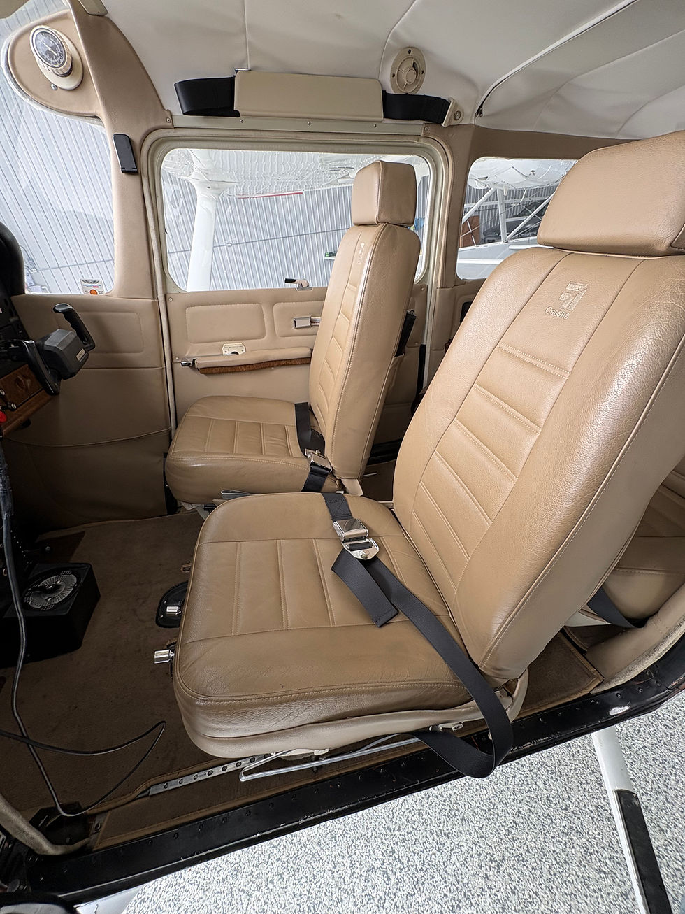 Miniature : Cessna 172RG