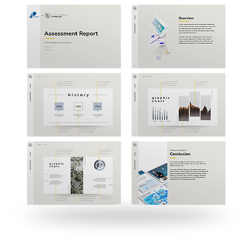 Assessment_Report_V2.png