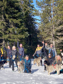 Team Building, réunion, activité entreprise, cani-raquette, activité originale et accessible