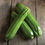 Thumbnail: Zucchini Plant - Spineless Perfection