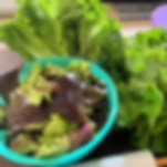 Salad Mix ~10oz