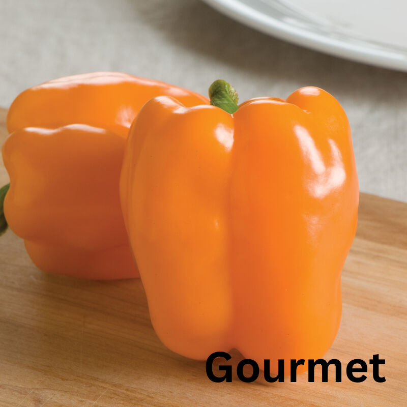 Thumbnail: Pepper Plant